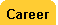 Career2.gif (979 bytes)