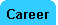 Career2.gif (979 bytes)